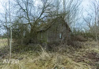 Object image 3