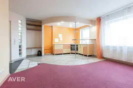 plašs vienas istabas dzīvoklis
