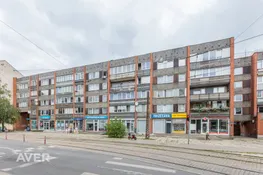 Plašs 1-istabas dzīvoklis
