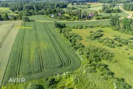 Bauskas nov., Iecava, Pikas