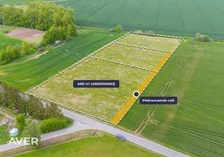 Object image 1