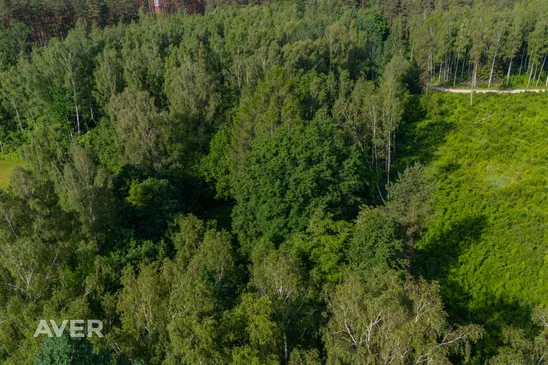 5-istabu māja ar 1,33ha lielu teritoriju 5minūšu attālumā no Ādažiem.