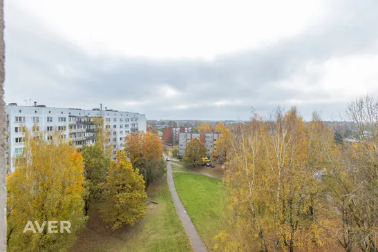 Loka Maģistrāle 23-106, Jelgava