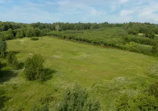 Object image 1
