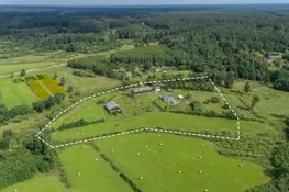 Liepziedi